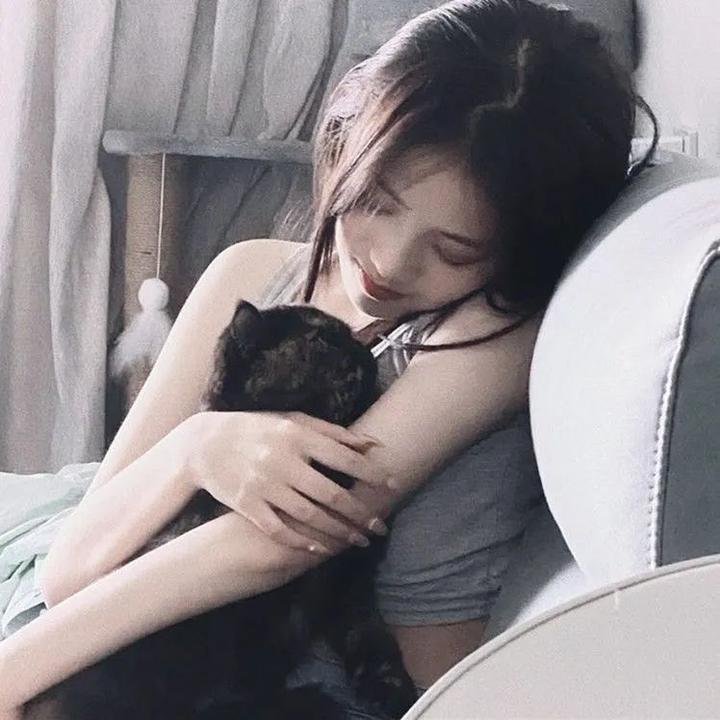 纳瓦尼事件簿